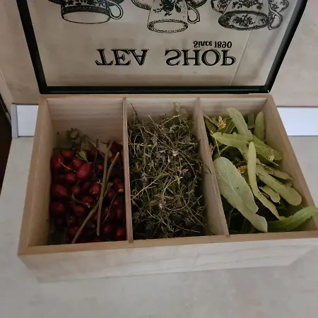 Apartment родопски рай