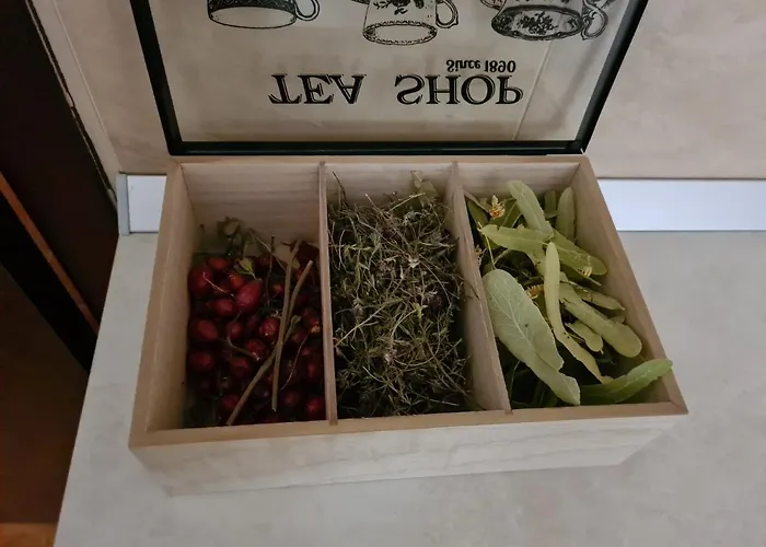 Apartment родопски рай